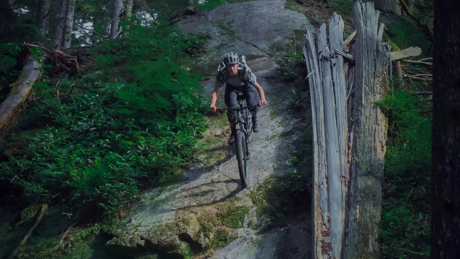 Flow Trail Bad Kleinkirchheim