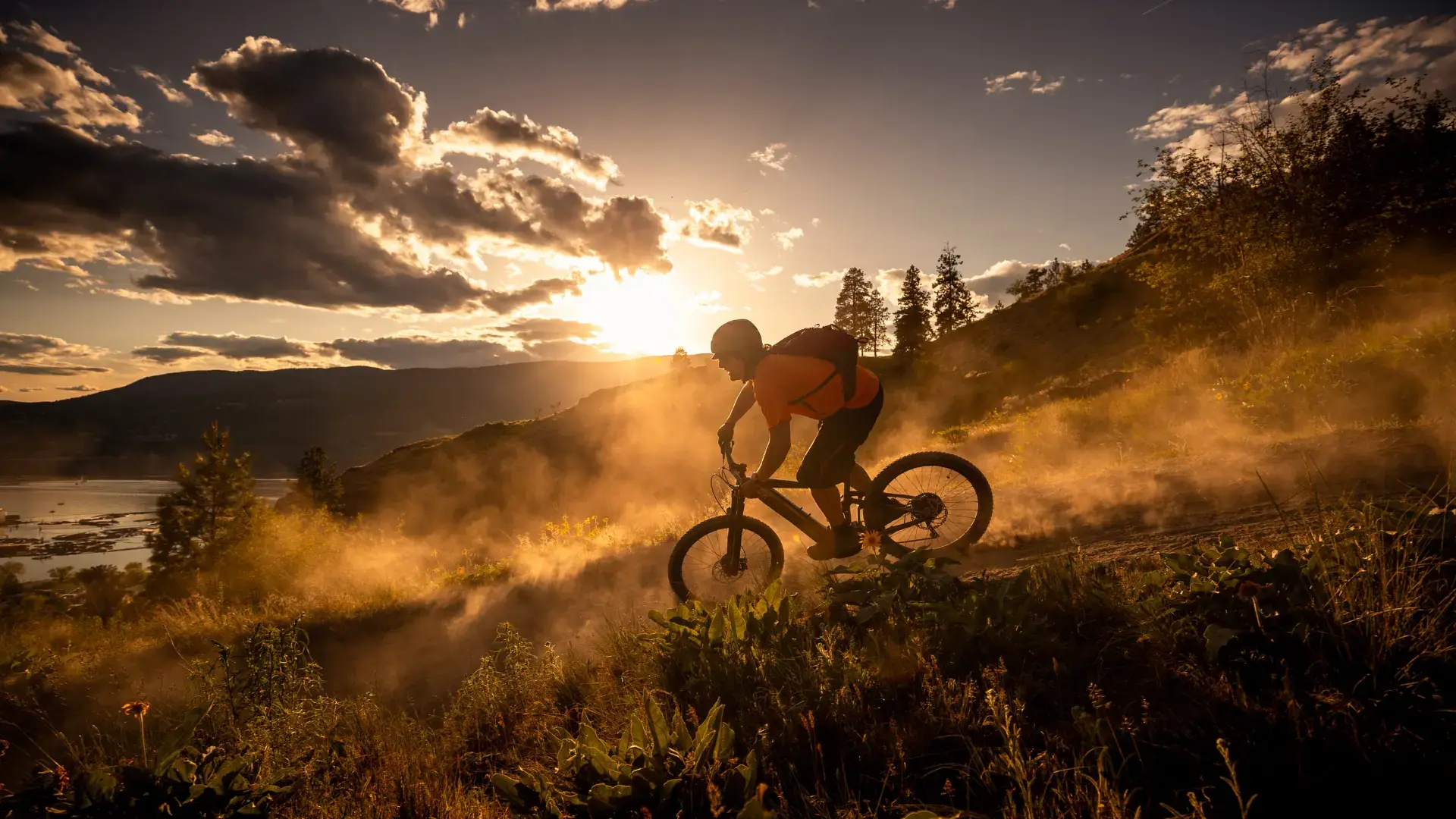 Mountain Bike Trail "Vodotoranj"