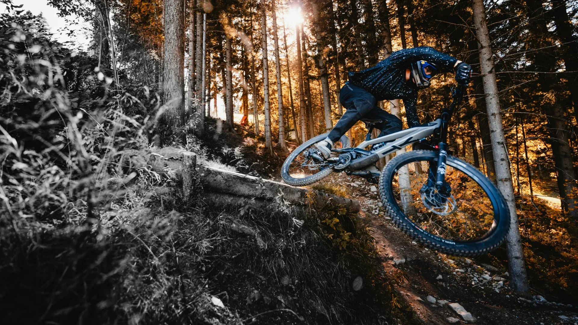 Downhill-Fahrer in voller Schutzausrüstung springt über ein Wurzelfeld einer Weltcup-Strecke im Bergwald