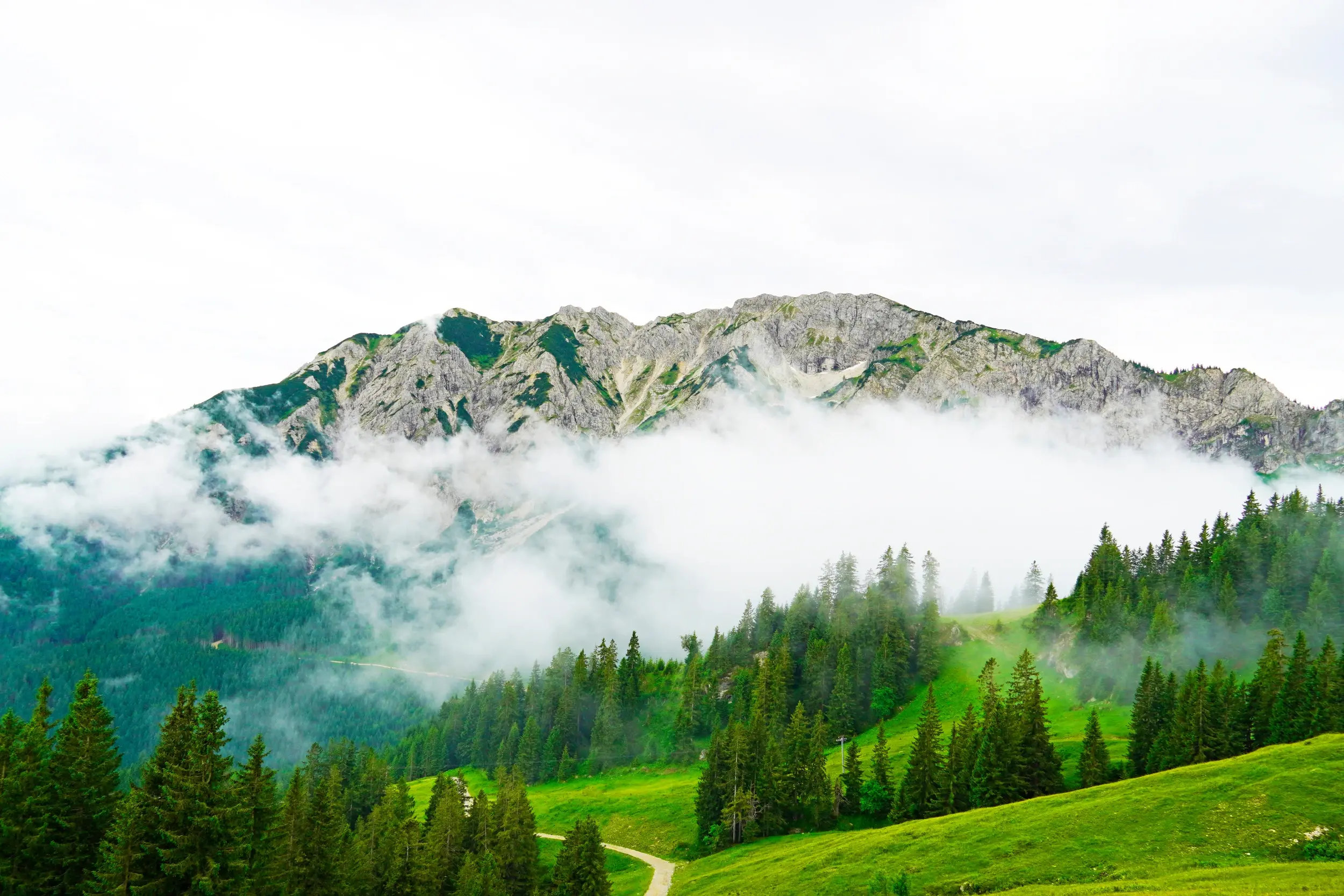 Nebliger Berg im Allgäu