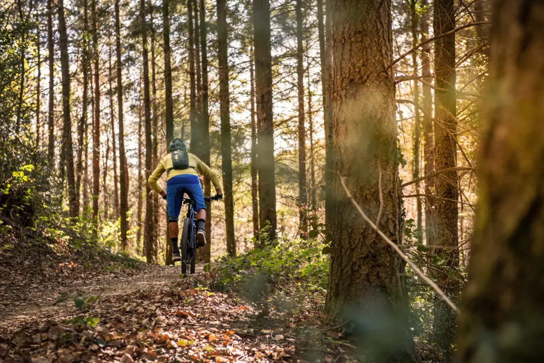 Mountain biker on a loamy autumn trail at golden hour
