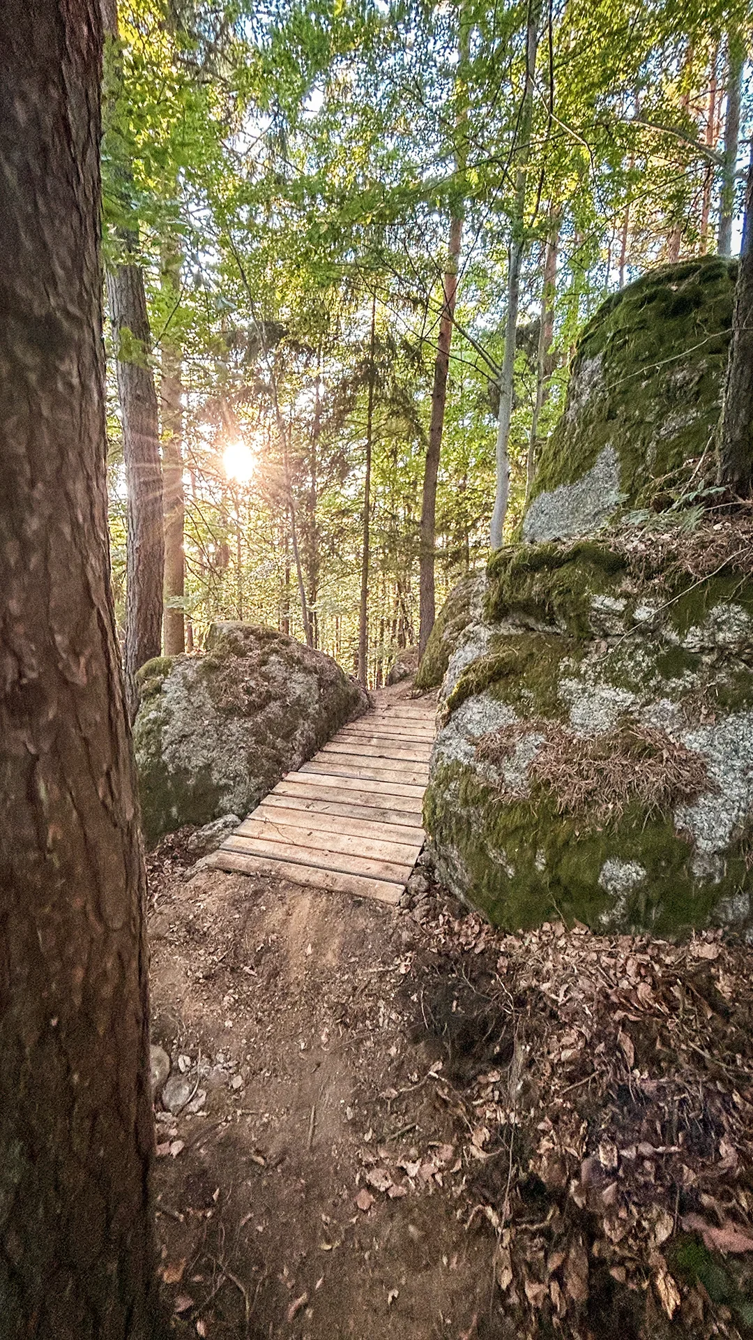 UpperTrails | Roadlberg-Trails
