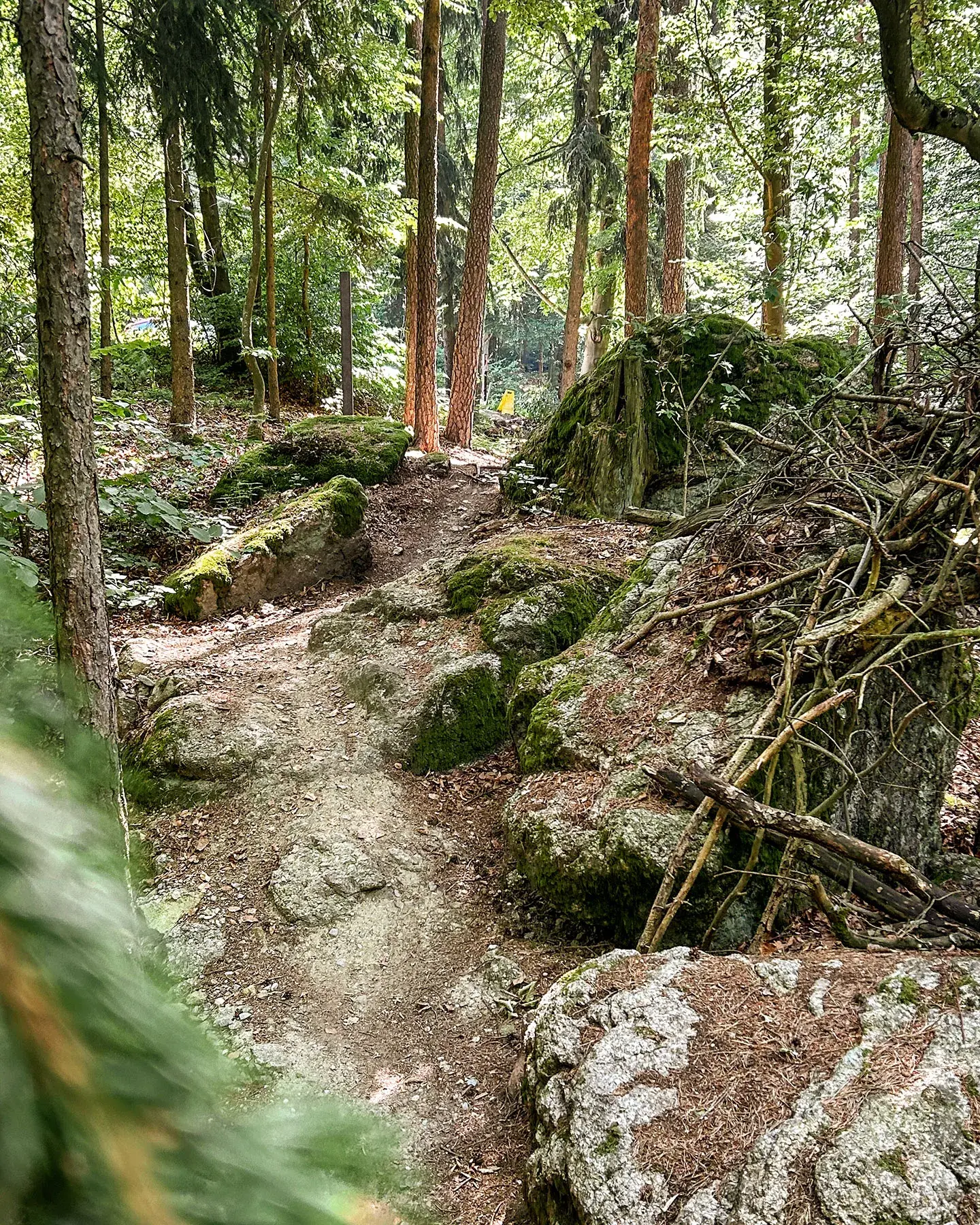 UpperTrails | Roadlberg-Trails – Foto 2