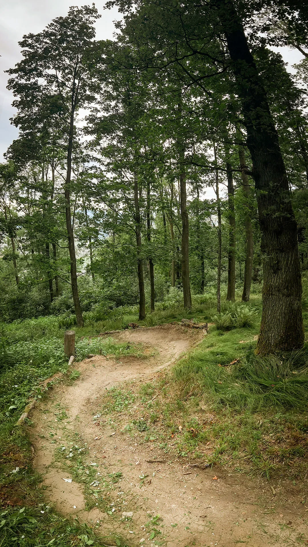 UpperTrails | Pfenningberg-Trails