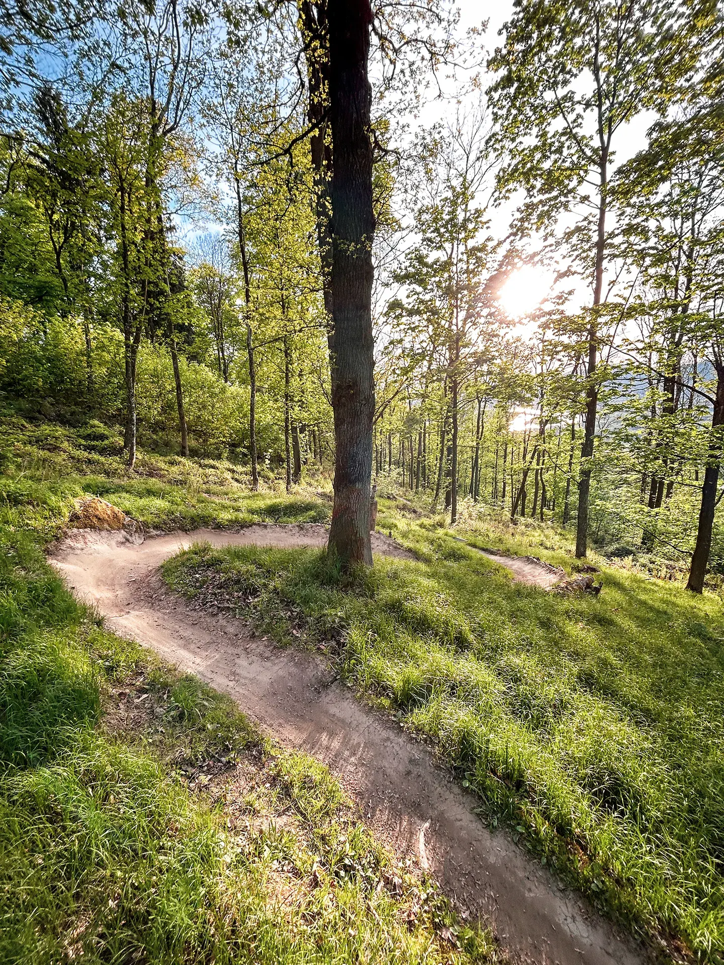 UpperTrails | Pfenningberg-Trails – Foto 5