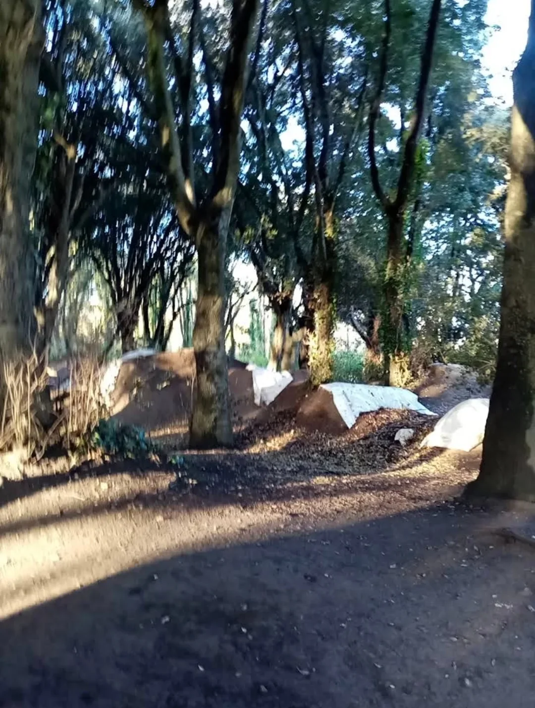 St. Anne's BMX Trails
