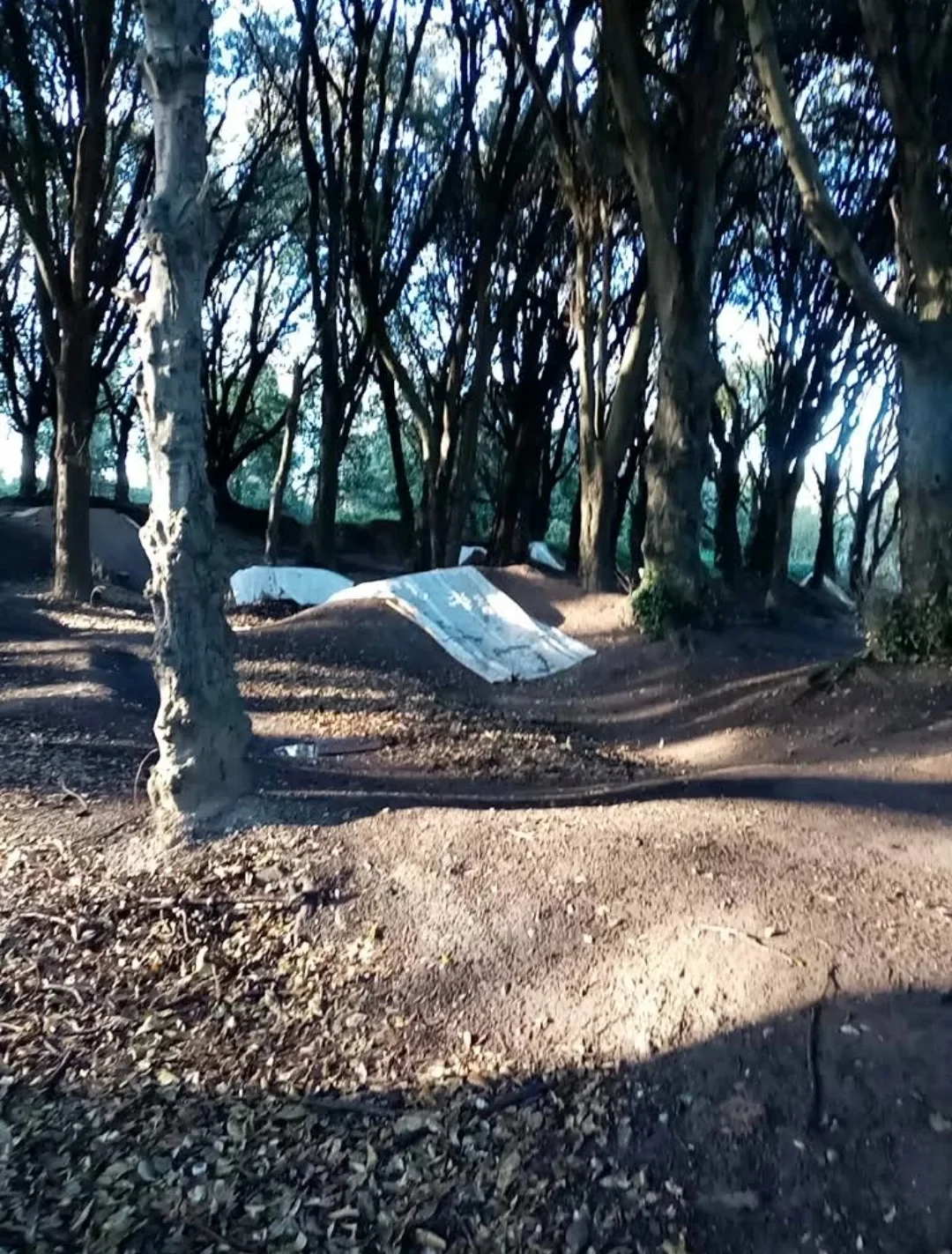 St. Anne's BMX Trails – Foto 2
