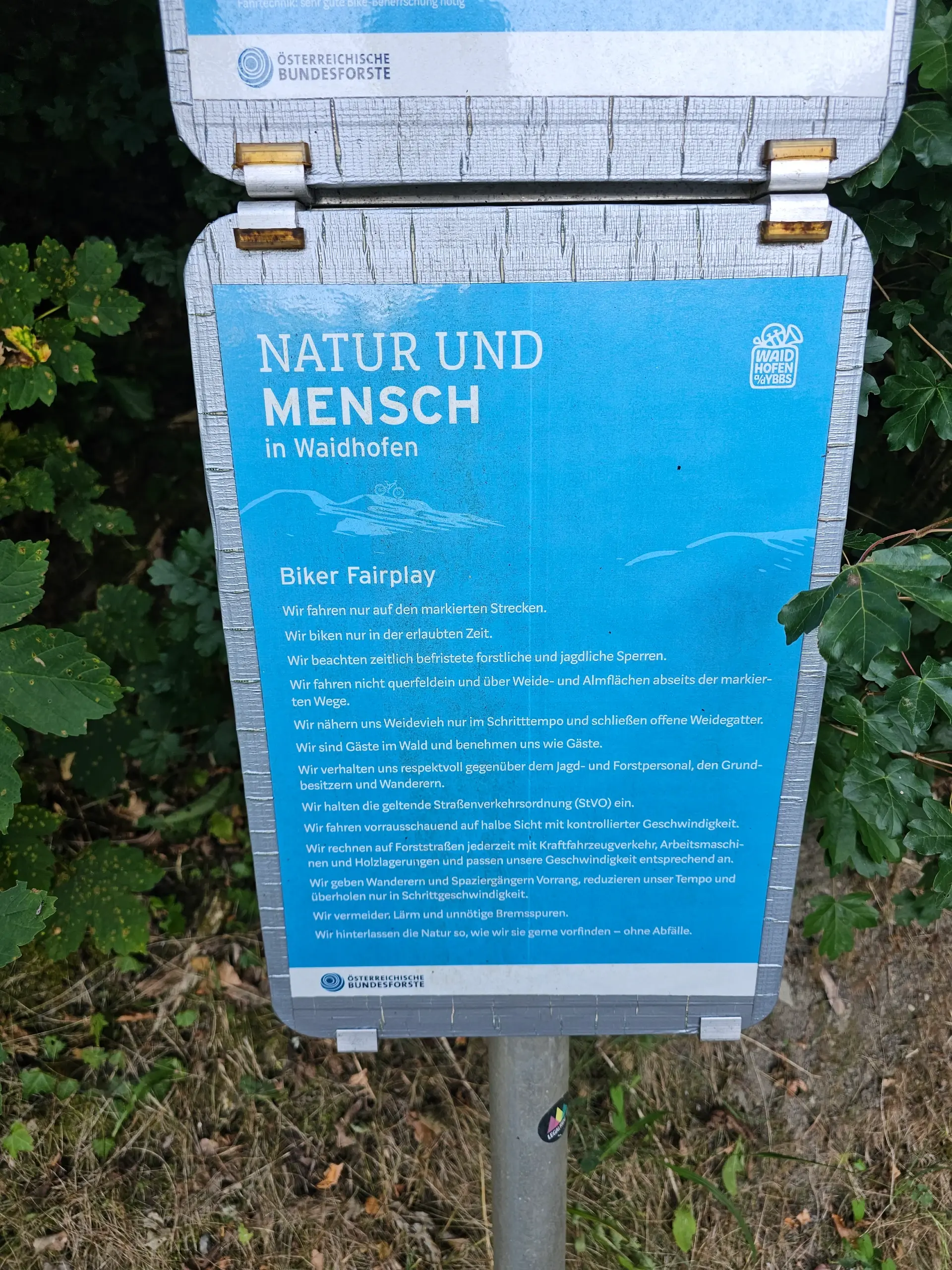 Schnabelberg Trail – Foto 3