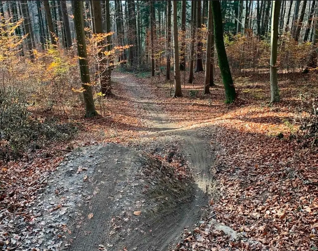 Gehro-Trail - Gehrenberg Trailpark β Foto 3