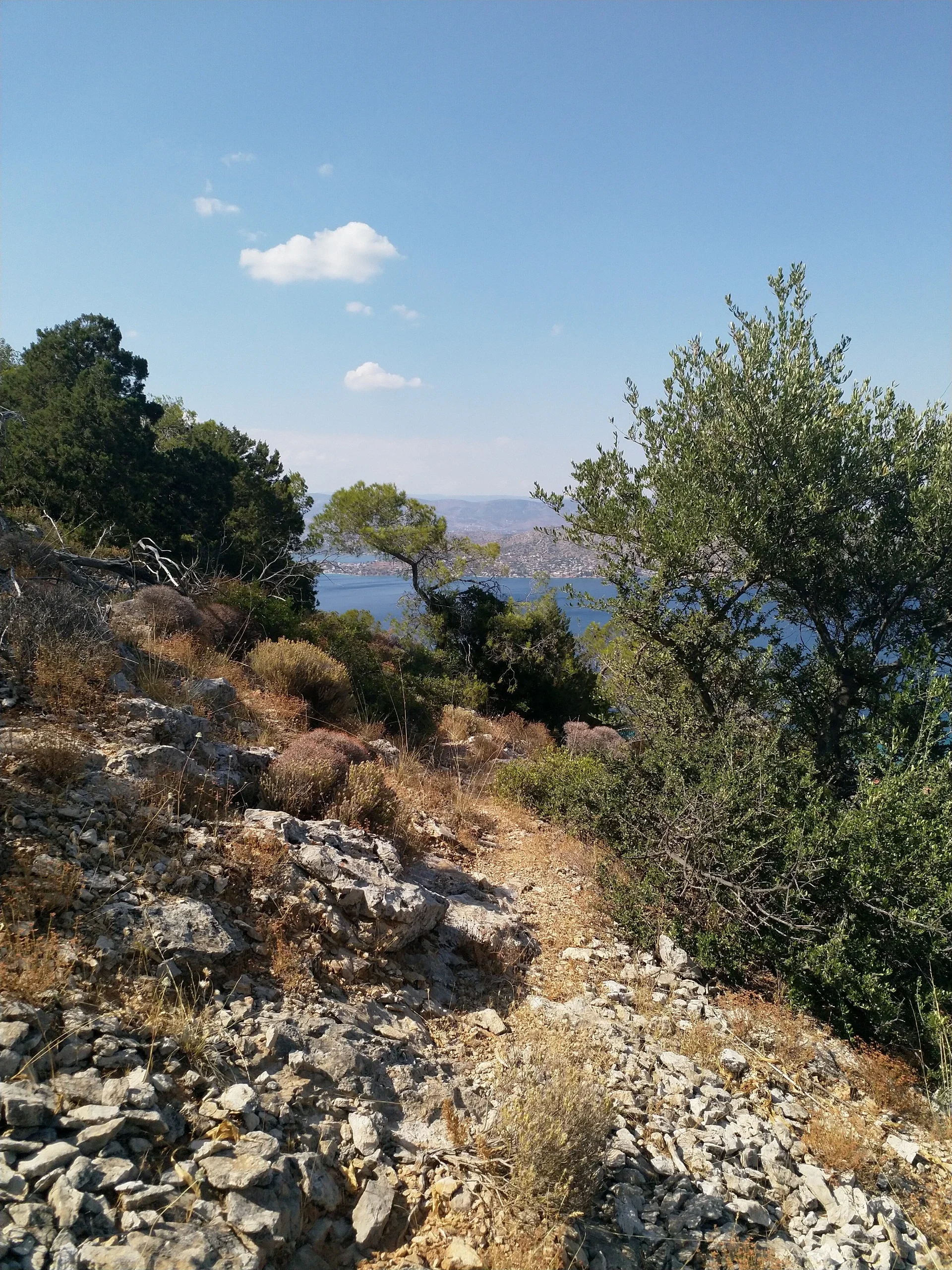 Salamina mtb trails – Foto 2